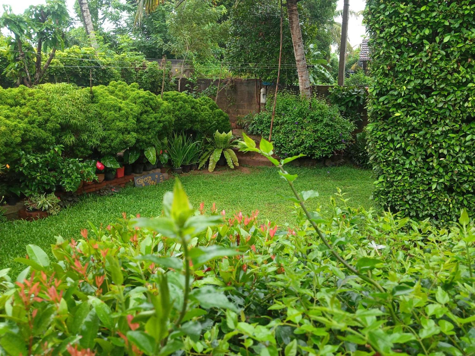 Green Bird Mirissa Exterior foto